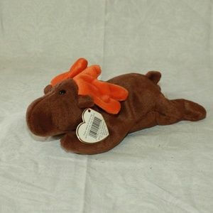 Chocolate the Moose